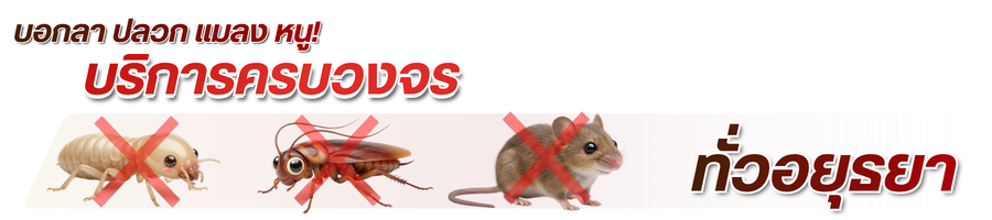 บริการงาน Pest Control ในจังหวัดพระนครศรีอยุธยา