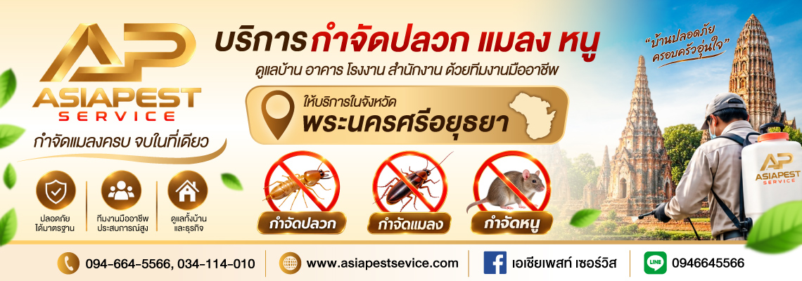 รับกำจัดปลวก แมลง และหนู อยุธยา